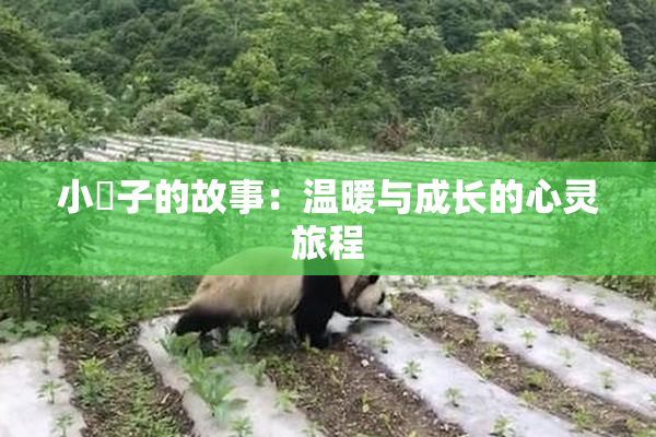 小峓子的故事：温暖与成长的心灵旅程
