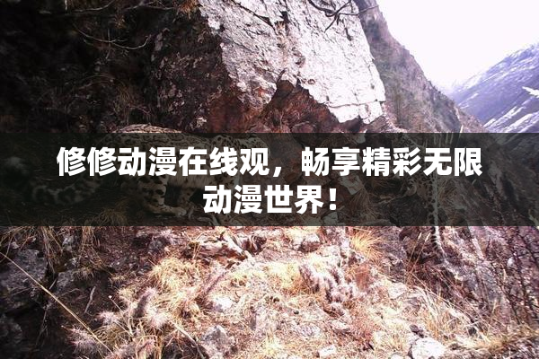 修修动漫在线观，畅享精彩无限动漫世界！