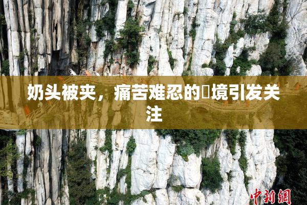 奶头被夹，痛苦难忍的囧境引发关注