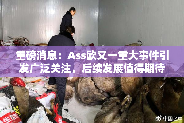 重磅消息：Ass欧又一重大事件引发广泛关注，后续发展值得期待！