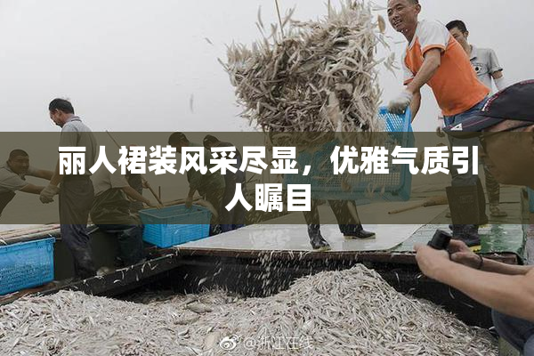 丽人裙装风采尽显，优雅气质引人瞩目