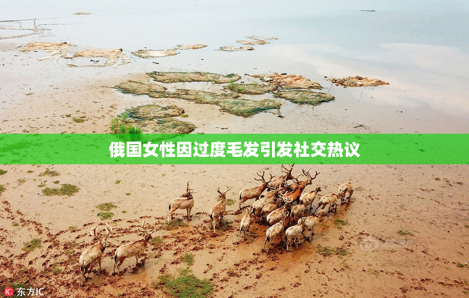 俄国女性因过度毛发引发社交热议