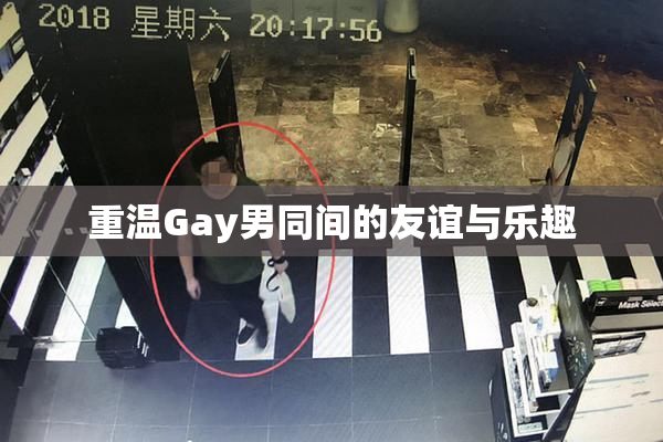 重温Gay男同间的友谊与乐趣