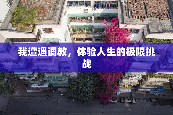 我遭遇调教，体验人生的极限挑战