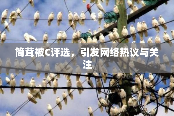 简茸被C评选，引发网络热议与关注