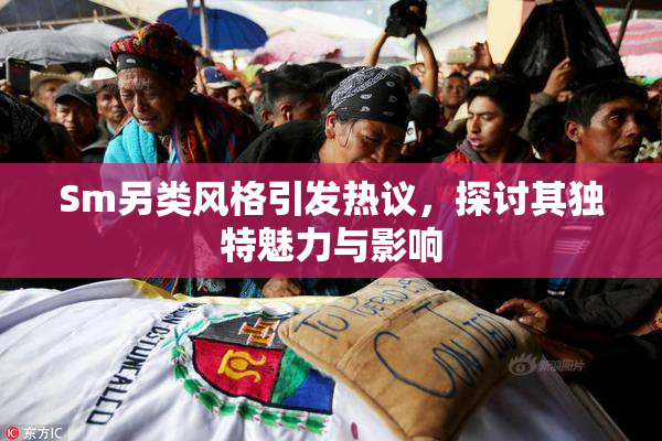 Sm另类风格引发热议，探讨其独特魅力与影响