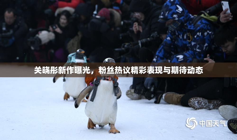 关晓彤新作曝光，粉丝热议精彩表现与期待动态