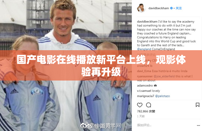 国产电影在线播放新平台上线，观影体验再升级