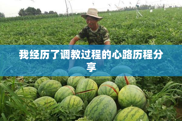 我经历了调教过程的心路历程分享