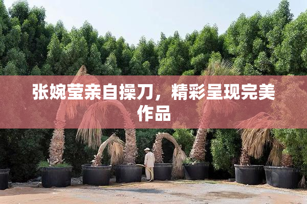 张婉莹亲自操刀，精彩呈现完美作品
