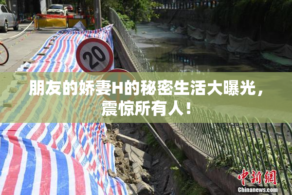 朋友的娇妻H的秘密生活大曝光，震惊所有人！