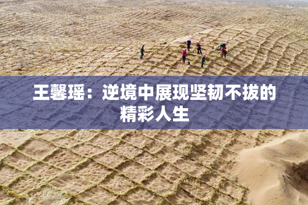 王馨瑶：逆境中展现坚韧不拔的精彩人生
