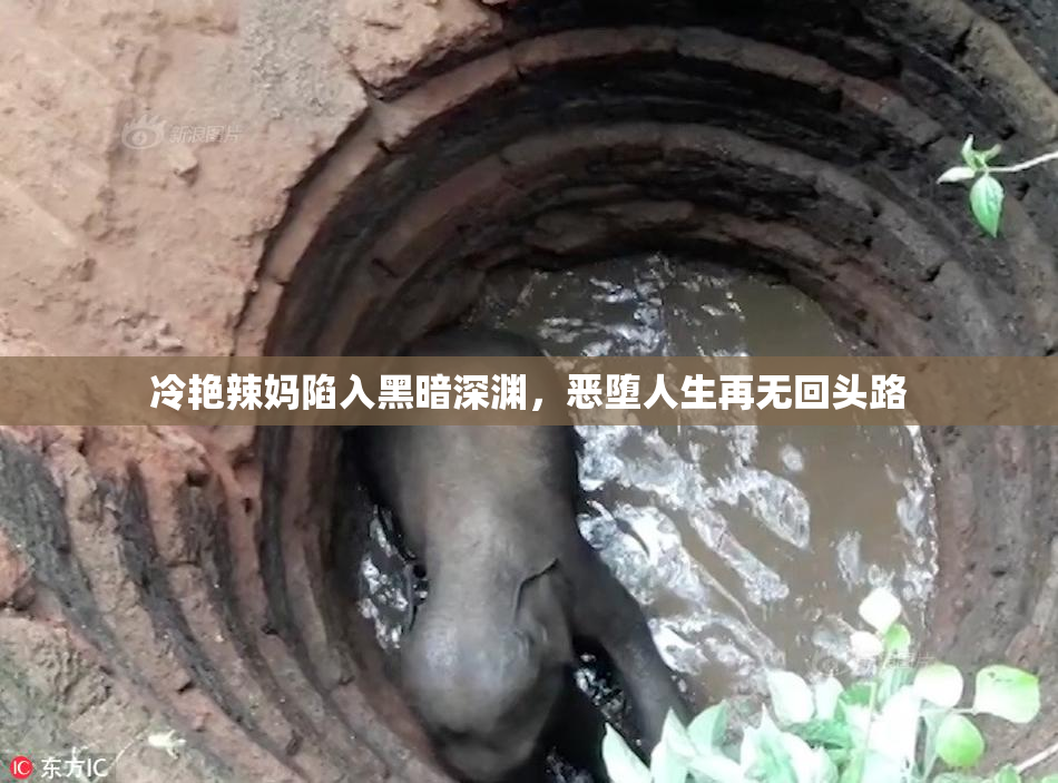 冷艳辣妈陷入黑暗深渊，恶堕人生再无回头路