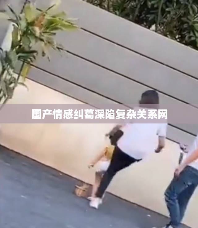 国产情感纠葛深陷复杂关系网