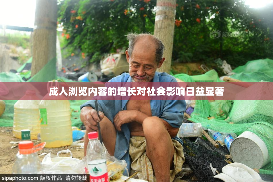 成人浏览内容的增长对社会影响日益显著