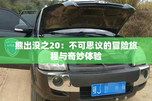 熊出没之20：不可思议的冒险旅程与奇妙体验