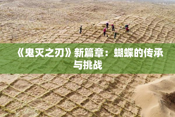 《鬼灭之刃》新篇章：蝴蝶的传承与挑战