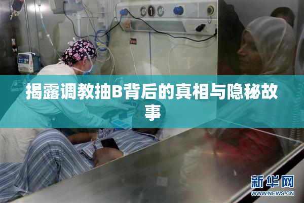 揭露调教抽B背后的真相与隐秘故事