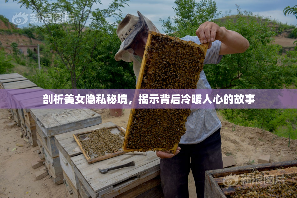 剖析美女隐私秘境，揭示背后冷暖人心的故事