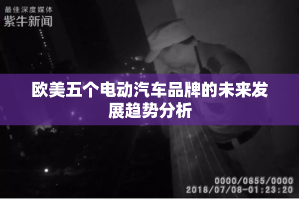 欧美五个电动汽车品牌的未来发展趋势分析