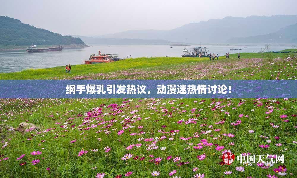 纲手爆乳引发热议，动漫迷热情讨论！