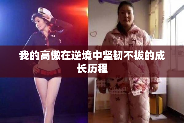 我的高傲在逆境中坚韧不拔的成长历程