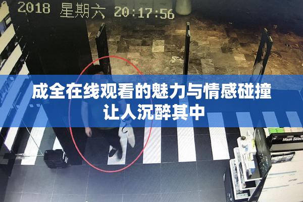 成全在线观看的魅力与情感碰撞 让人沉醉其中