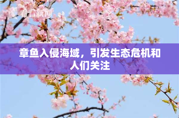 章鱼入侵海域，引发生态危机和人们关注