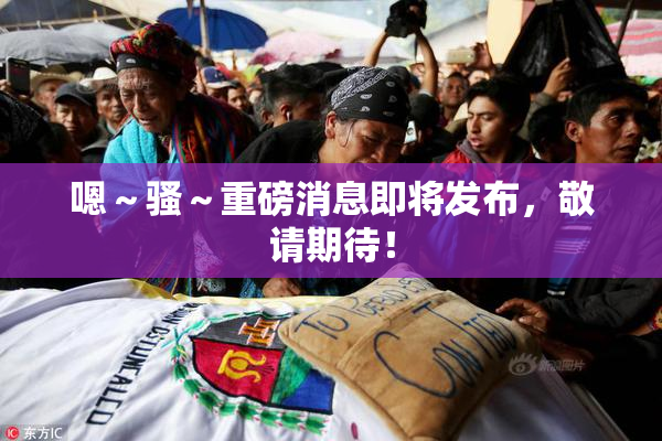嗯～骚～重磅消息即将发布，敬请期待！