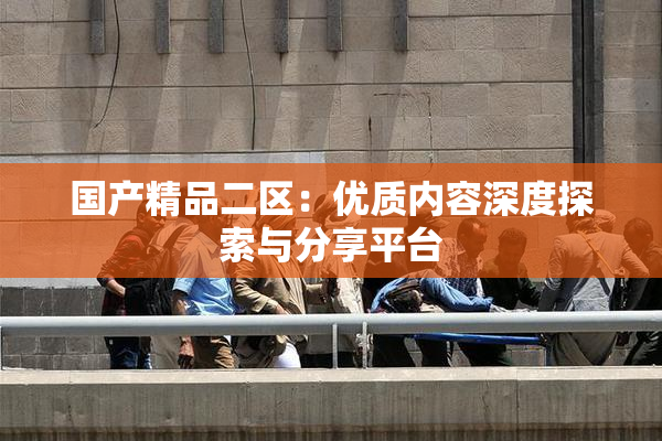 国产精品二区：优质内容深度探索与分享平台