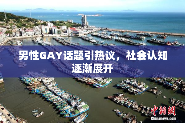 男性GAY话题引热议，社会认知逐渐展开