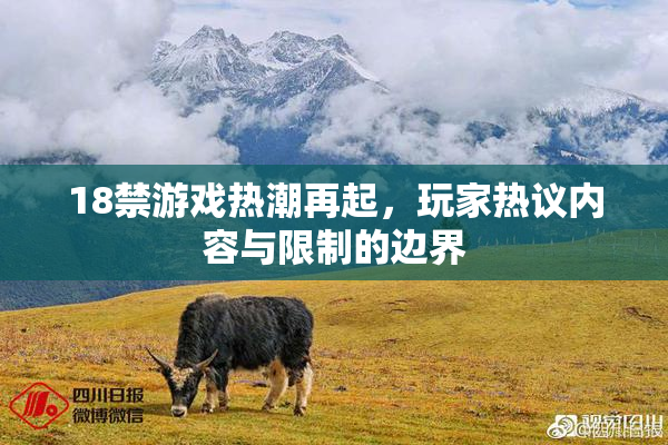 18禁游戏热潮再起，玩家热议内容与限制的边界