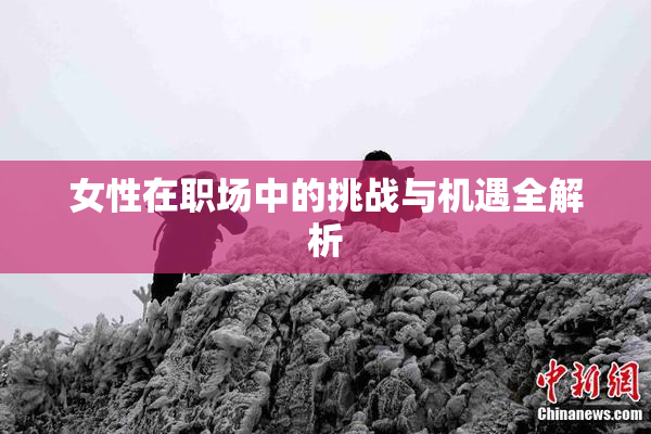 女性在职场中的挑战与机遇全解析