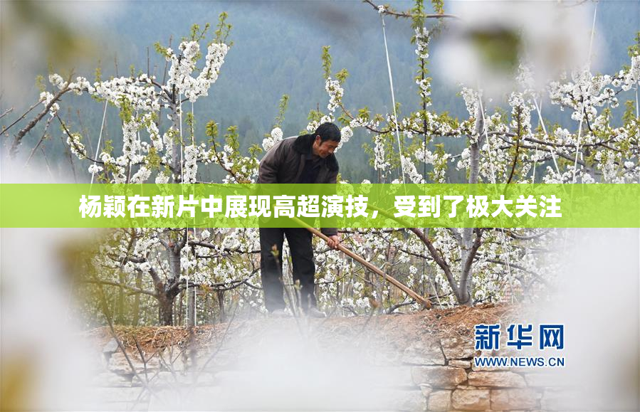 杨颖在新片中展现高超演技，受到了极大关注