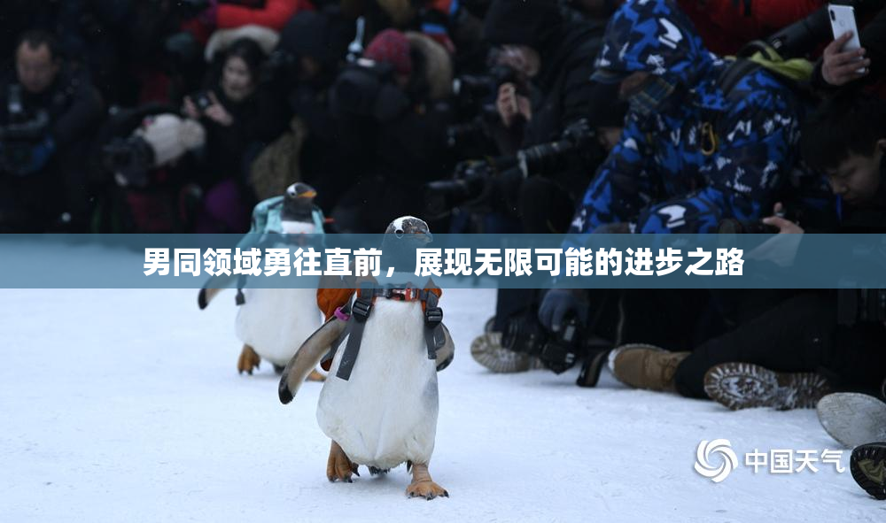 男同领域勇往直前，展现无限可能的进步之路