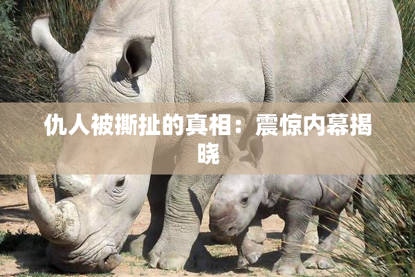 仇人被撕扯的真相：震惊内幕揭晓