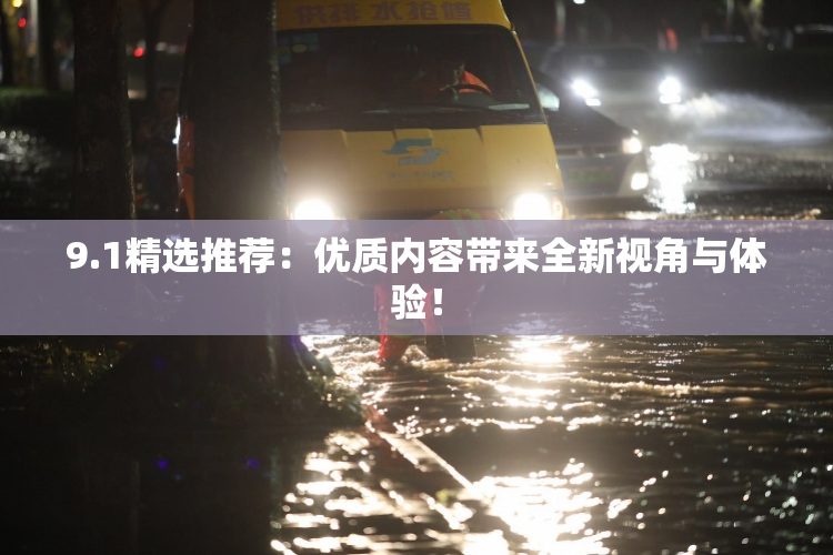 9.1精选推荐：优质内容带来全新视角与体验！