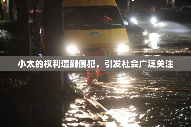 小太的权利遭到侵犯，引发社会广泛关注
