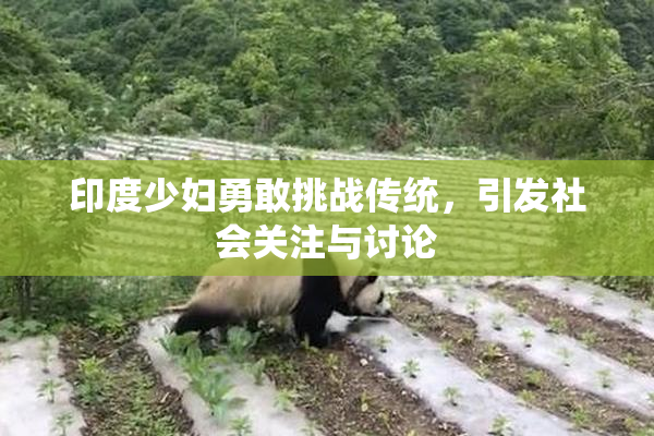 印度少妇勇敢挑战传统，引发社会关注与讨论