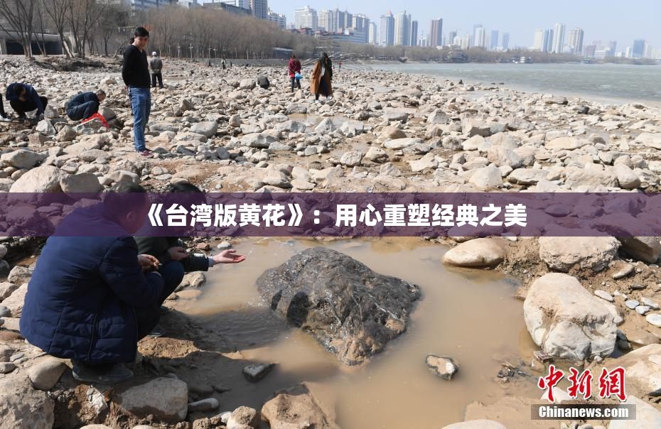《台湾版黄花》：用心重塑经典之美