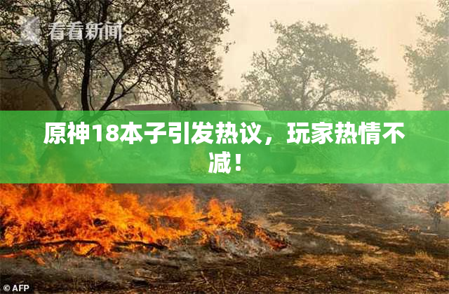 原神18本子引发热议，玩家热情不减！