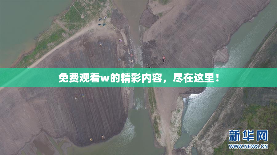 免费观看w的精彩内容，尽在这里！