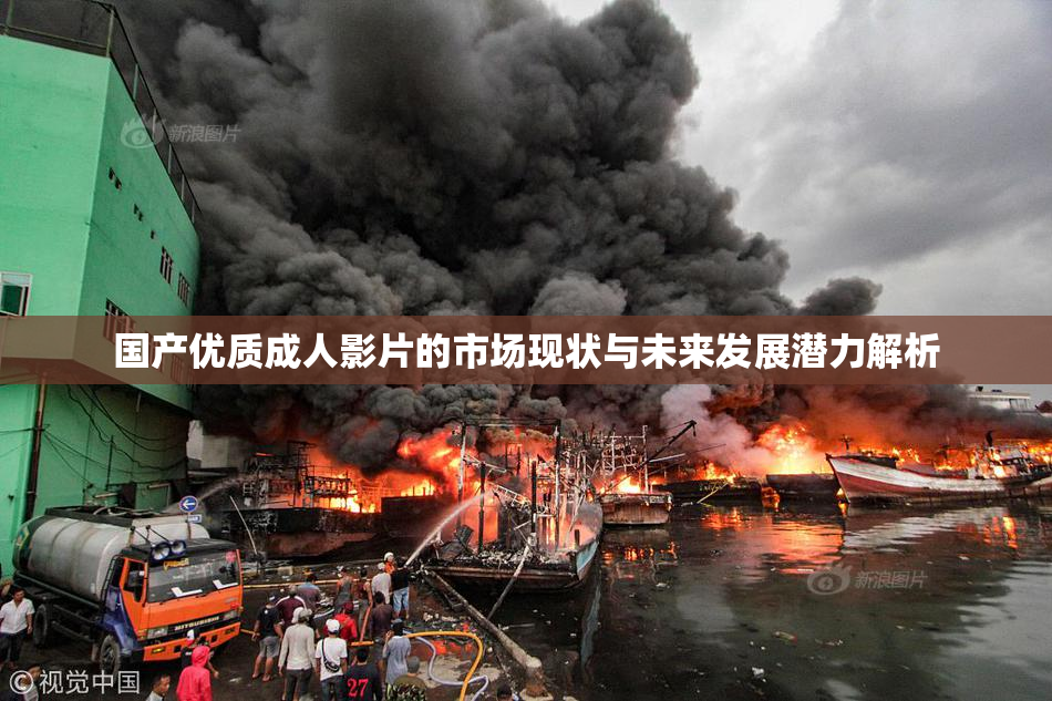 国产优质成人影片的市场现状与未来发展潜力解析