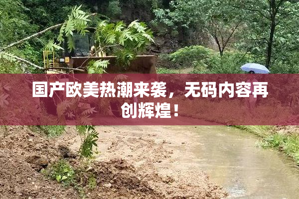 国产欧美热潮来袭，无码内容再创辉煌！
