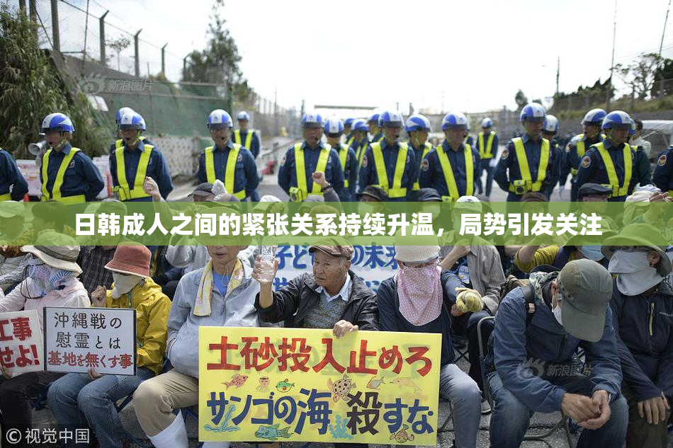 日韩成人之间的紧张关系持续升温，局势引发关注