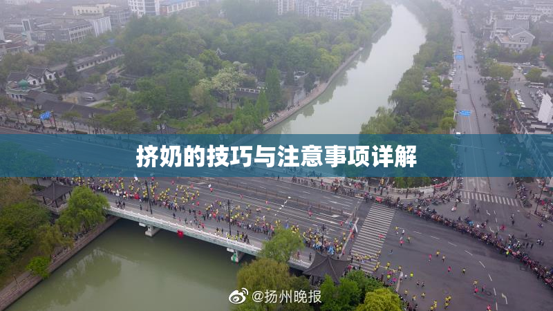 挤奶的技巧与注意事项详解