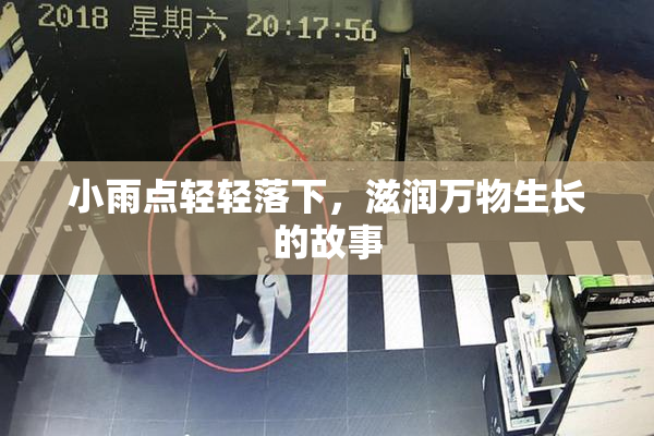 小雨点轻轻落下，滋润万物生长的故事