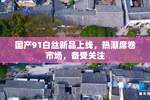 国产91白丝新品上线，热潮席卷市场，备受关注