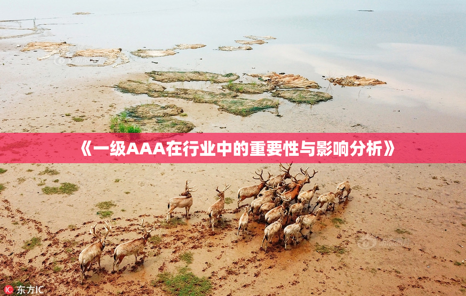 《一级AAA在行业中的重要性与影响分析》