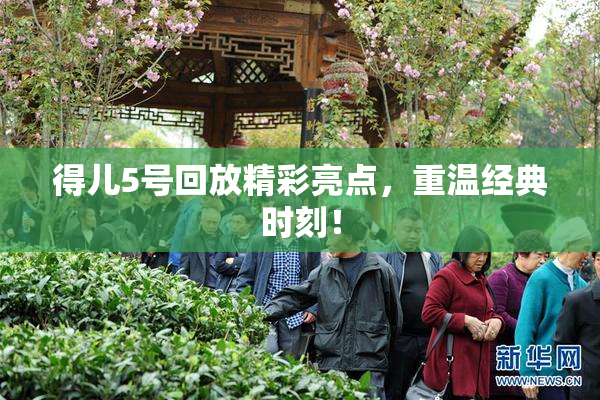得儿5号回放精彩亮点，重温经典时刻！